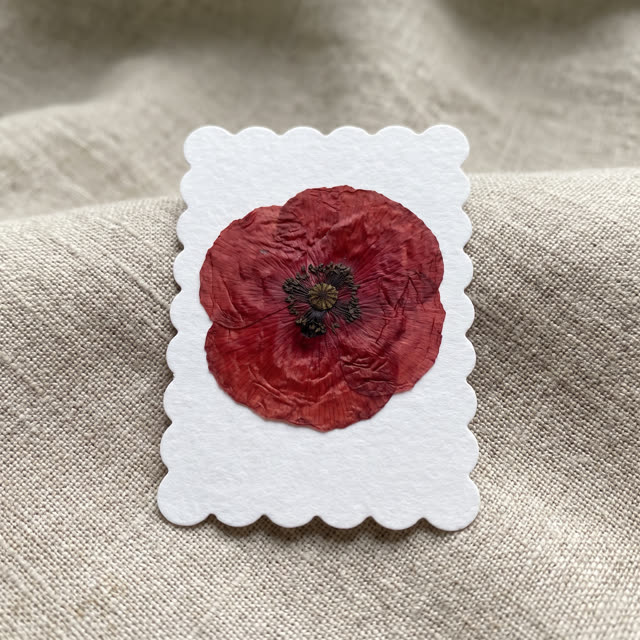 Poppy · Big Sur